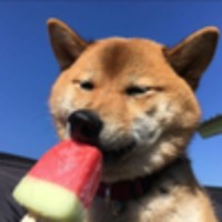 编程牛马